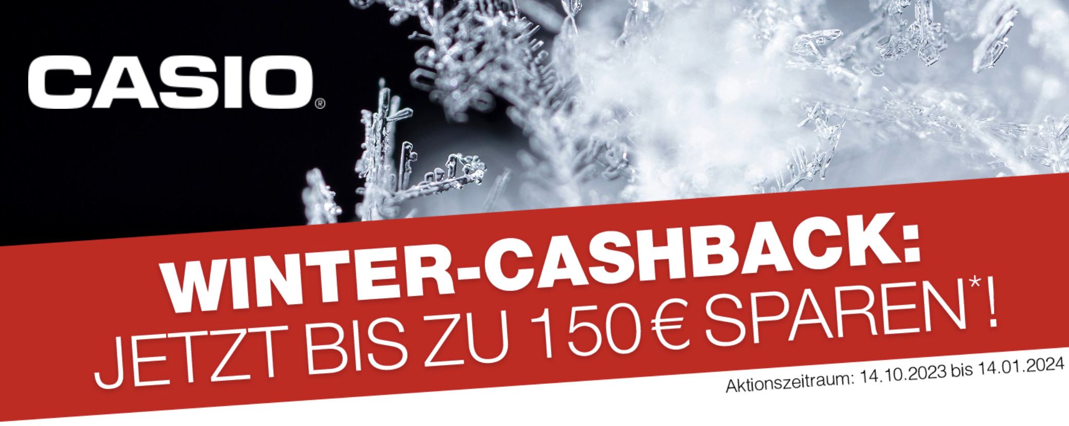 case_Case “Casio Winter-Cashback 2023”